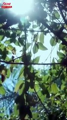 Falling For The Other Woman’s Husband - Full HD Movie Uncut