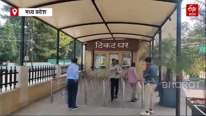 एक लेपर्ड फैमिली की कहानी: जंगल में बिछड़े मादा तेंदुआ और बच्चे, बाल दिवस पर मिले