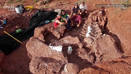 Giant Fossils in Argentina May Belong to the Largest Dinosaur Ever Discovered