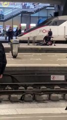 Un individu armé d'un couteau neutralisé par les forces de l'ordre à la gare Montparnasse, à Paris, alors qu'il menaçait d'autres voyageurs