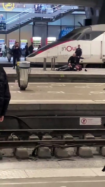 Un individu armé d'un couteau neutralisé par les forces de l'ordre à la gare Montparnasse, à Paris, alors qu'il menaçait d'autres voyageurs