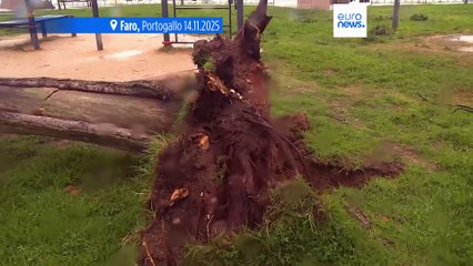 Non cessa l'allerta per la tempesta Claudia in Portogallo: più di duemila incidenti