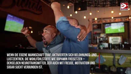 Fußballfans erleben während Spielen extreme Gehirnaktivität