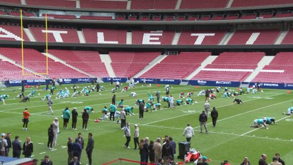 Miami Dolphins training