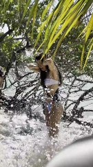 Coulisses du shooting des Miss régionales en maillot de bain, avant Miss France 2026.
