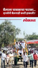 साखर कारखान्याचा गळीत हंगाम, रावसाहेब दानवेंच्या हाती बैलगाडी, काय घडलं