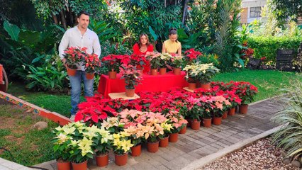 bd-llegaron-las-pastoras-141125