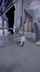 I Said Yes to Danger Chinese Drama - English Sub