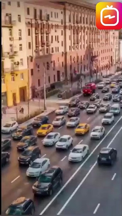 From Rags To Riches Pet Shop Cinderella - Full Movie Billionaire, Short Drama