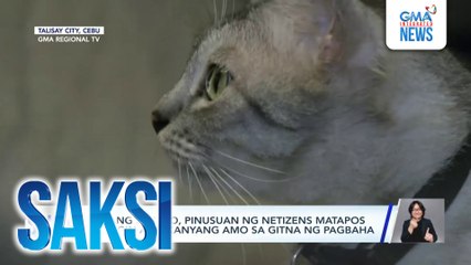 Pusang si Neko, pinusuan ng netizens matapos gisingin ang kanyang amo sa gitna ng pagbaha | Saksi