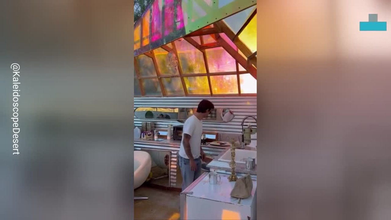 Zebra Is the Only Customer at This Bar