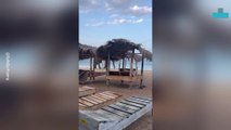 Elephant Strolls Along Beach Leaving Tourists Stunned
