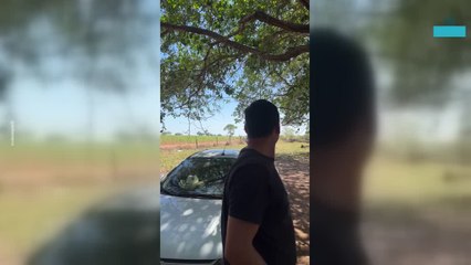 Strong Winds Blow a Camping Tent Away