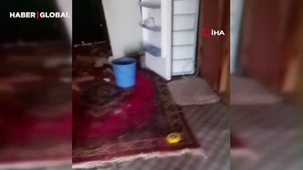 Trabzonlu vatandaşın köy evine giren ayıyla diyaloğu güldürdü: "La baba oğlu ne ettin kattın burayı birbirine"