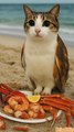 Meowl Eats Seafood #meowl #newsoul #memes #meme #cat #cats #catshorts #catmemes #viral #fyp