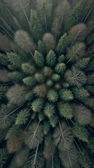 Aventuras con mi vecina - episodio 5 - español