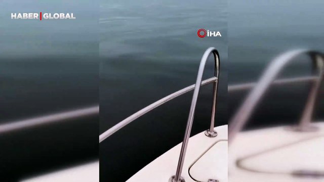 Balıkçı teknesiyle dakikalarca yarışan yunuslar şaşırttı: Yunuslarla beraber dans ediyoruz
