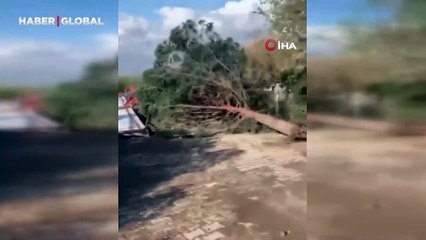 Mardin’de hortum! Çatılar uçtu, ağaçlar devrildi