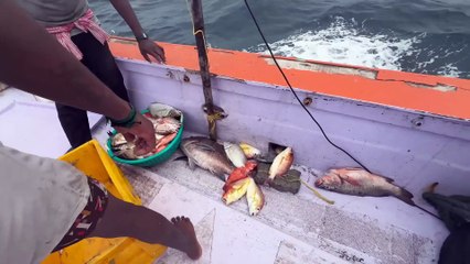 Epic Gulf Deep Sea Battle — Giant Fish Pulled From Crystal Blue Waters