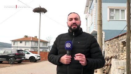 "Yaren" leylek göl manzaralı yuvasına yerleşti: "Çok şükür Yaren'e kavuştum"