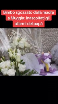Bimbo sgozzato dalla madre a Muggia: inascoltati gli allarmi del papà.#trieste #news #daytime #perteeeee #tiktoknews #socialnews #italiatiktok #giallo #cronaca #tg #ansa