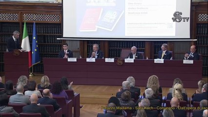 De Poli -  Conferenza stampa al Senato della Repubblica (14.11.25)