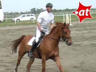 Rudolf Krippl, Springreiten, Kottingbrunn (2008-026)