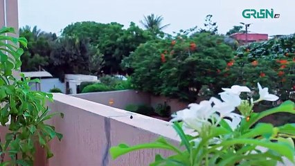 Visaal E Ishq Episode 28 - 14th November 2025