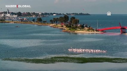 Körfez'de tedirginlik oluşturan durum: Su üzerinde tabaka oluştu