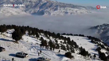 Sürüden ayrılıp sarp kayalıklarda kavga ederken dron kamerasına takıldılar