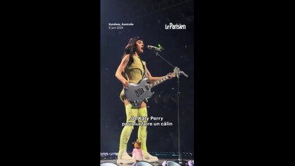 Qui est Pyjama Man, l’homme qui a agressé Ariana Grande ?