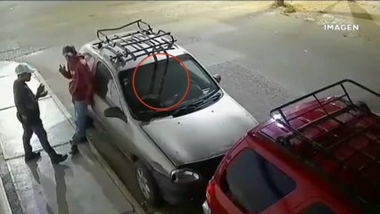 Sujetos roban automóvil con todo y perrito en calles de Puebla