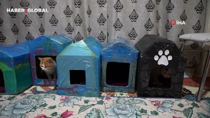 Gümüşhane’de öğrenciler engelli kediler için kedi evi yaptı