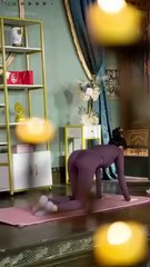 Size Doesn't Matter, Power Does/From Fat To Fierce Empress Full Movie