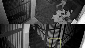 Criminosos invadem Instituto Histórico de Brasília e levam peças valiosas