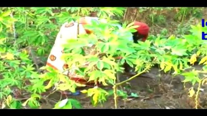 NAA MBEA SOUMAÏ — ETOILE DU NORD “tom ba wii” // NAA MBEA SOUMAÏ – MƆ SAYE