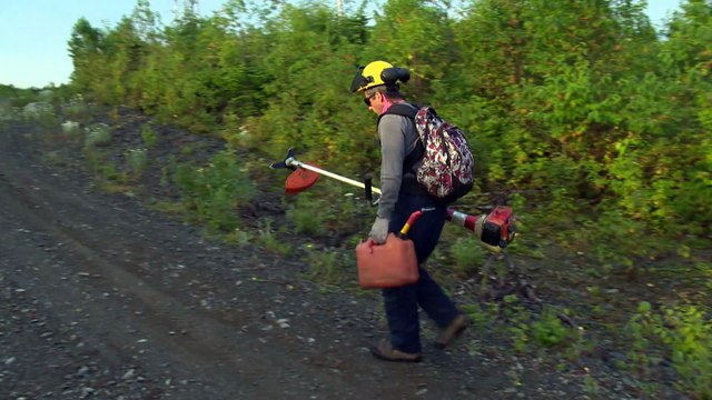 14 nov TOPO LPM travailleurs en foret