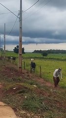 Francisco Alves: fenômeno raro assusta trabalhadores no distrito de Rio Bonito