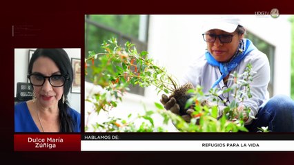 Refugios para la vida | Dulce María Zúñiga