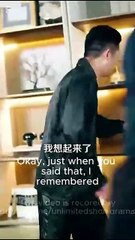 the billionaire's lost son chinese drama