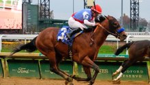 Gino & Scott's Picks for Churchill Downs Betting: Saturday Races