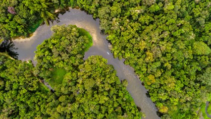 La Amazonía brasileña registra su menor nivel de deforestación en más de una década