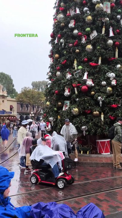 Empapados pero en Disneyland