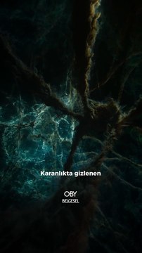 Kozmik Şafak Büyük Patlama’nın ardından, evrenin ilk oluşum aşamalarında, yoğun ve sıcak bir plazma hâlinde olan evren soğumaya