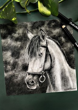 Dessin réaliste d'un cheval à la pierre noire