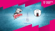 Highlights von Nürnberg Ice Tigers - Eisbären Berlin
