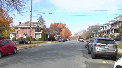 미, 반려견이 잘못 밟아 주인 총상..."침대 위 엽총 발사돼" / YTN