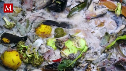 La verdad del Río Pánuco: fugas, drenaje y el daño irreparable que avanza sin freno