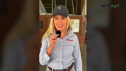 Young beef producers on the role of buffel grass