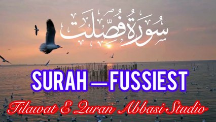 PROOF OLD IS GOLD | Surah Fussilat | سورة فيصلتTilawat E Quran Abbasi studio o